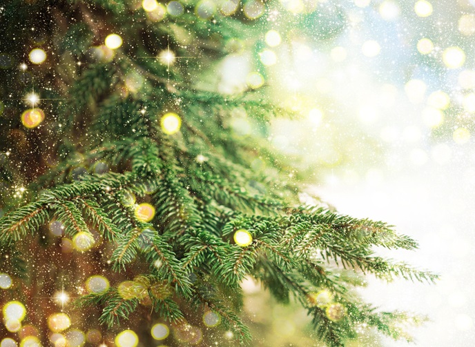 City Will Recycle Christmas Trees, Weather Permitting
