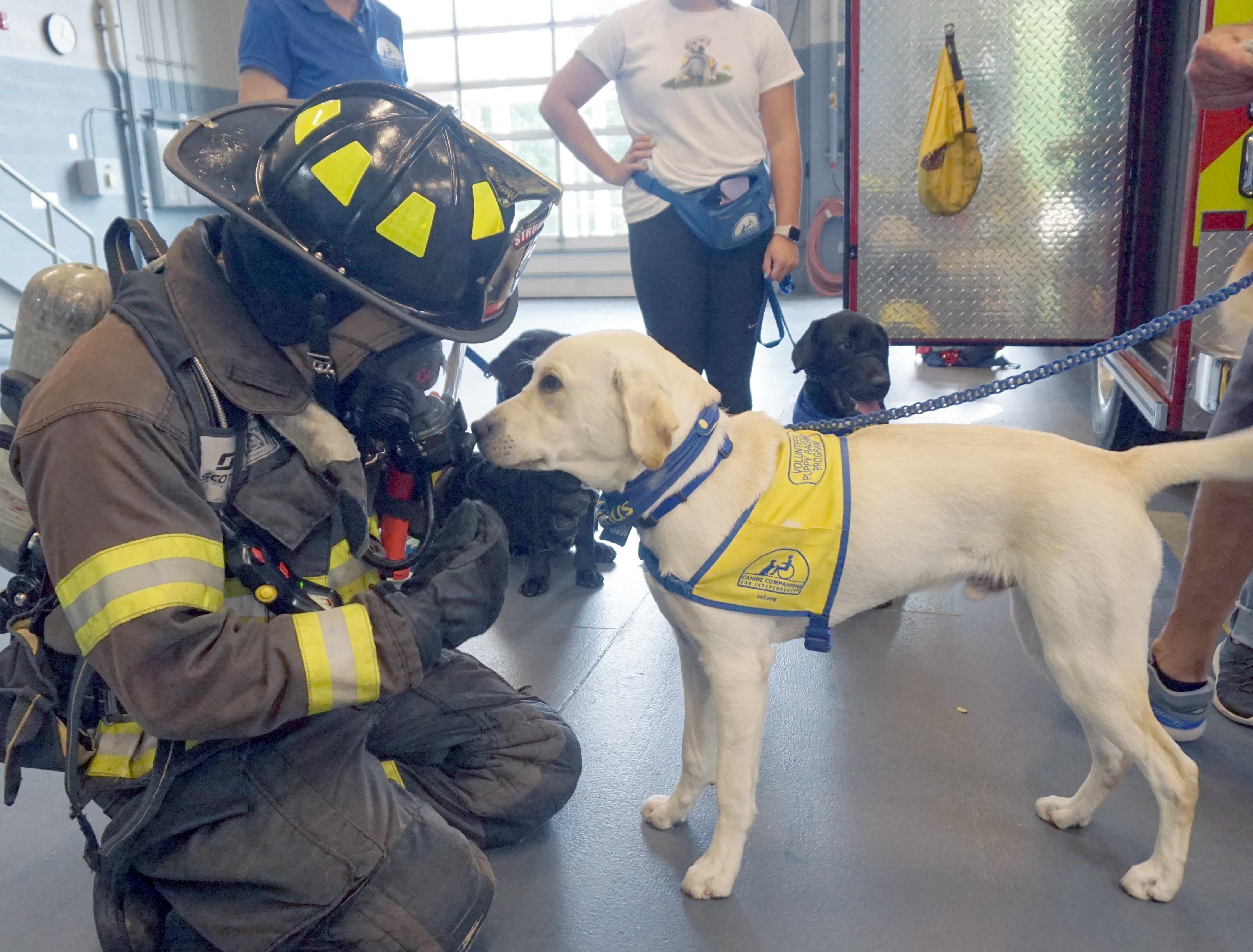 Service Dogs Visit Station for Training