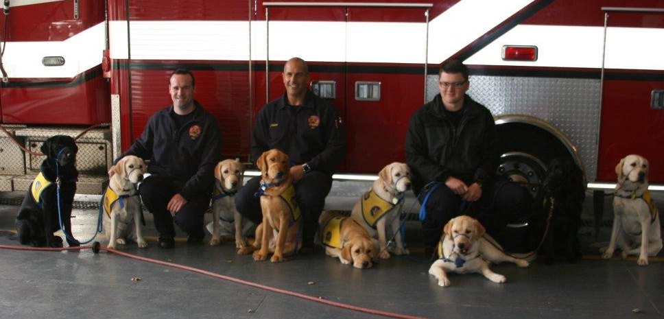 Service Dogs Train in  Strongsville