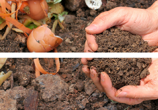 Free Composting Webinars Offered