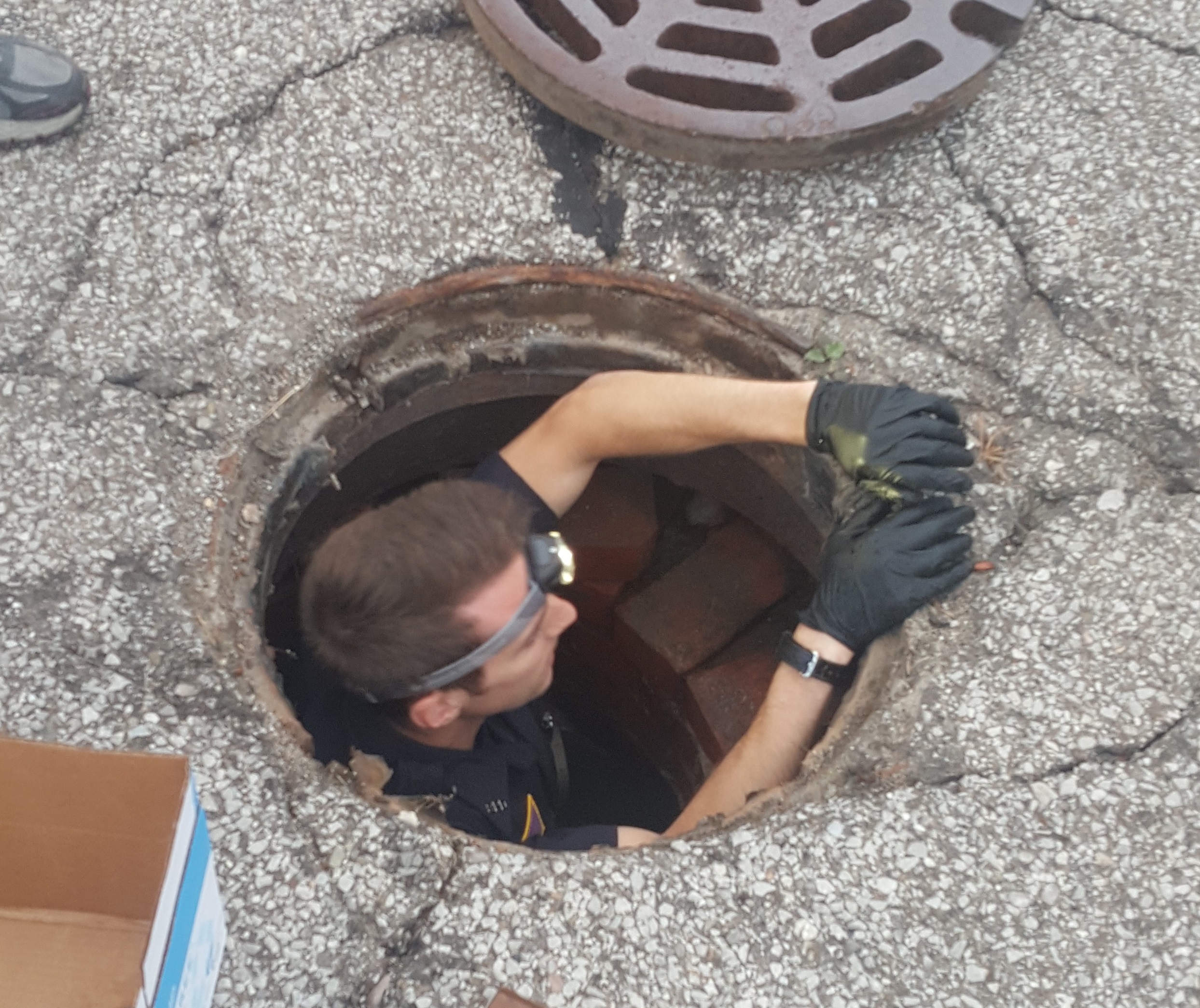 Officer Rescues Ducklings from Sewer