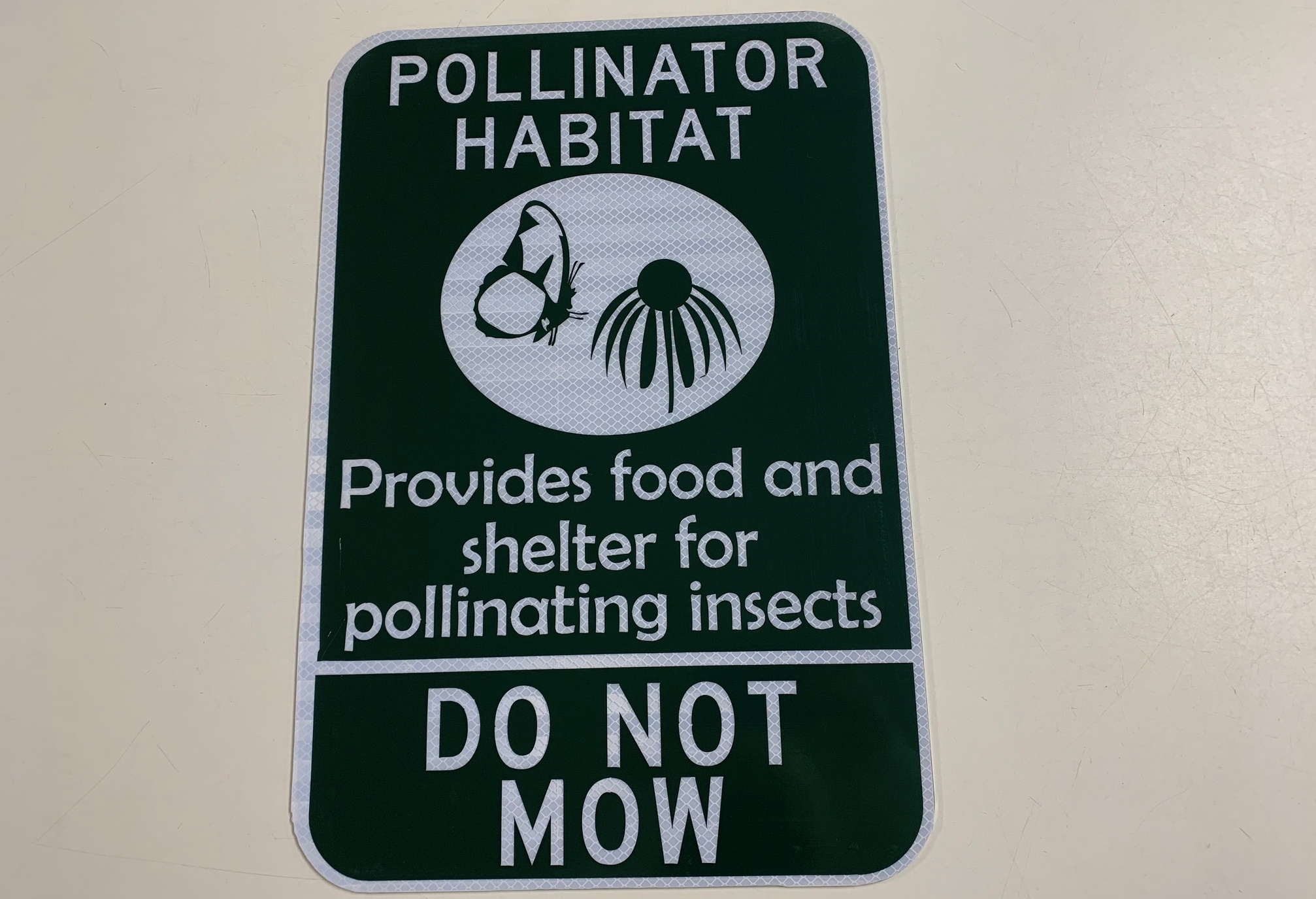 City Creating Pollinator Habitats