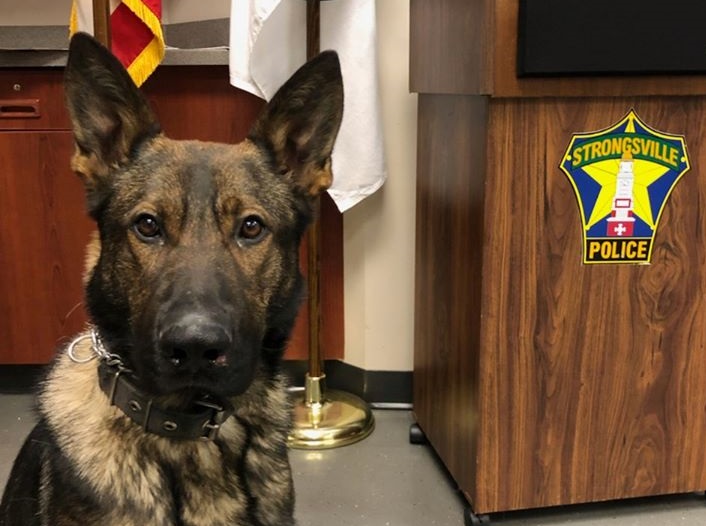 Meet Tito, the Newest Member of the Police Department