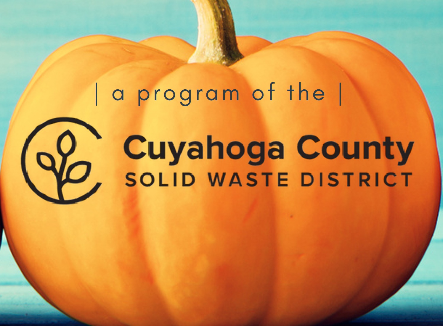 Strongsville is Pumpkin Composting Site Again