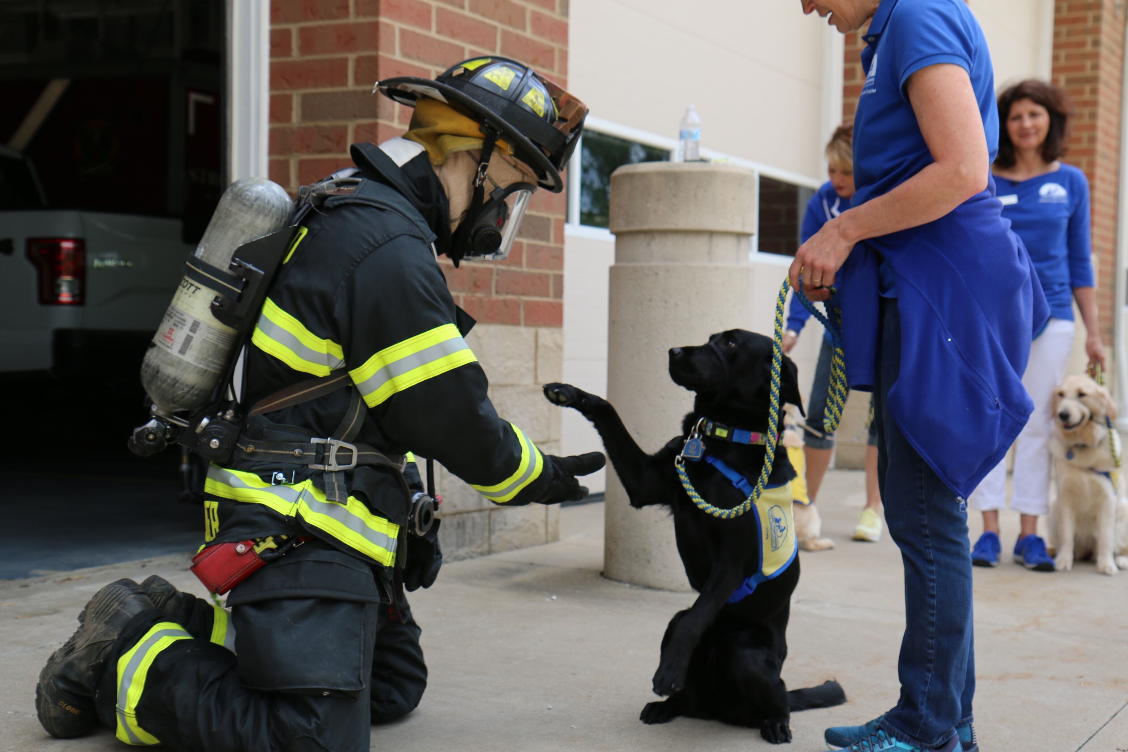 Service Dogs Train at Fire Station